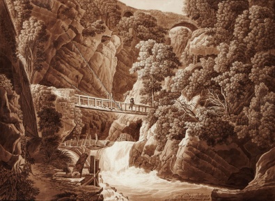 Peter Birmann